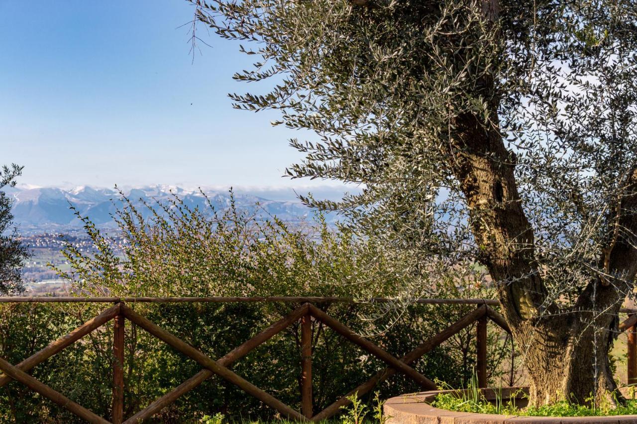 La Merlana Affittacamere Morrovalle Dış mekan fotoğraf