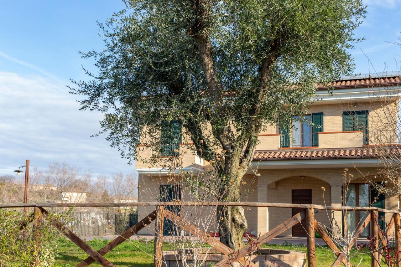 La Merlana Affittacamere Morrovalle Dış mekan fotoğraf